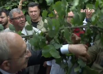 Fındık üreticisi Kılıçdaroğlu'na anlattı: 'Açıkça bir vurgun ve soygun yaşanıyor'