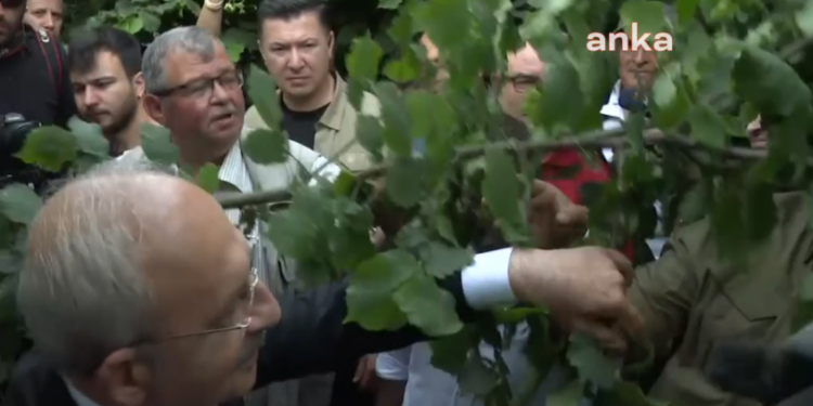 Fındık üreticisi Kılıçdaroğlu'na anlattı: 'Açıkça bir vurgun ve soygun yaşanıyor'