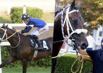 Gazi Koşusu'nda sakatlanan "Dollar Man" uyutuldu