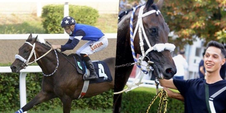 Gazi Koşusu'nda sakatlanan "Dollar Man" uyutuldu