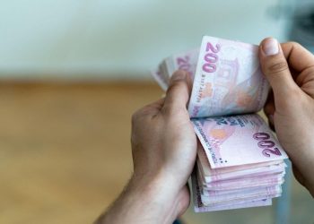 'Gelire endeksli devlet iç borçlanma senedi' nedir?