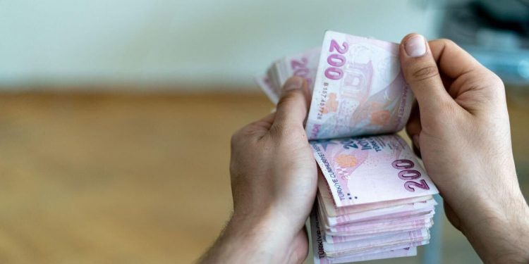 'Gelire endeksli devlet iç borçlanma senedi' nedir?