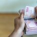 'Gelire endeksli devlet iç borçlanma senedi' nedir?