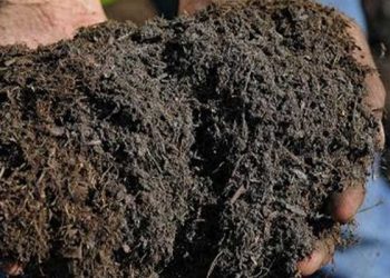 Gübre fiyatları kur artışı nedeniyle 1050 lira zamlandı