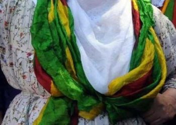 HDP’li Pero Dundar: Renkli şal hangi suç kapsamına giriyor?