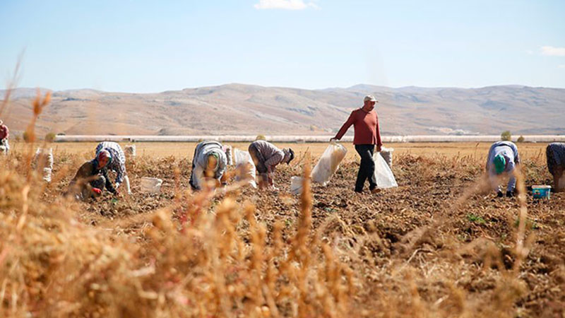 Hacizli arazi sayısı yüzde 168,2 arttı