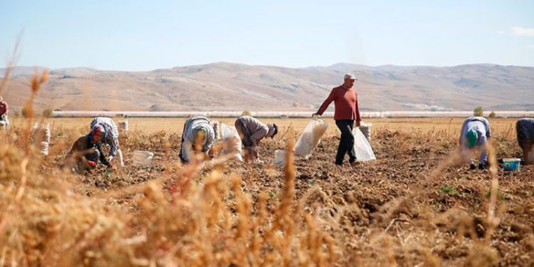 Hacizli arazi sayısı yüzde 168,2 arttı