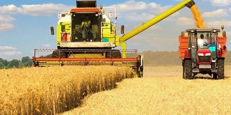 Hükümet, hasat başlamasına rağmen buğday fiyatını açıklamıyor