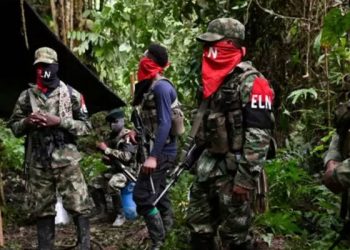 Kolombiya'da silahlı örgüt ELN'den hükümetle barış görüşmelerine yeşil ışık
