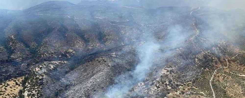 Kuzey Kıbrıs'taki orman yangını kontrol altına alındı