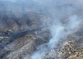 Kuzey Kıbrıs'taki orman yangını kontrol altına alındı