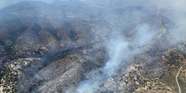 Kuzey Kıbrıs'taki orman yangını kontrol altına alındı