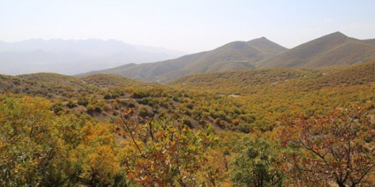 Köylüler DERKAP’ı Danıştay’a taşıdı