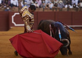 La Plaza Mexico'da boğa güreşlerine yasak