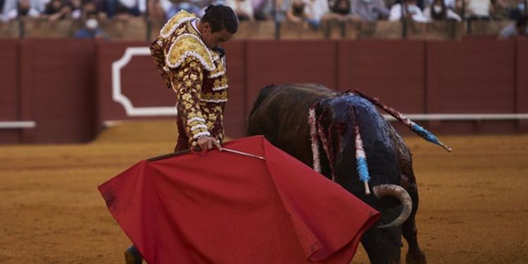 La Plaza Mexico'da boğa güreşlerine yasak