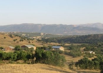 Lice'deki çatışmada iki uzman çavuş öldü