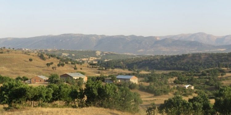 Lice'deki çatışmada iki uzman çavuş öldü