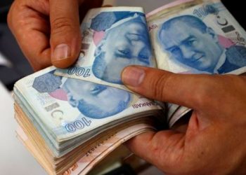 Mahfi Eğilmez: Türk Parası Kıymetini Koruma(ma) Kanunu