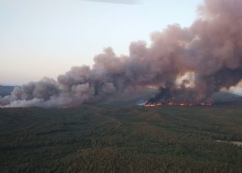 Marmaris Amazon Koyu’nda orman yangını