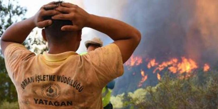 Marmaris Belediye Başkanı Oktay: 4 gün boyunca yüreğimizi yakan yangın, resmi açıklamalara göre nihayet söndürüldü