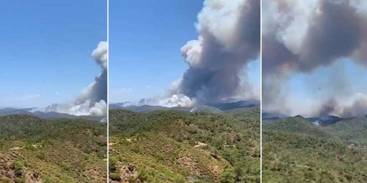 Marmaris Bördübet'teki yangından son görüntüler: "Yangın çok büyük, daha çok helikopter lazım"