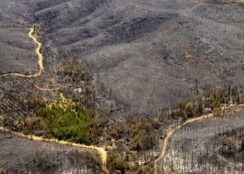 Marmaris yanıyor: ‘Alevler Erdoğan’ın sarayına ilerleyince helikopter sayısı arttı’