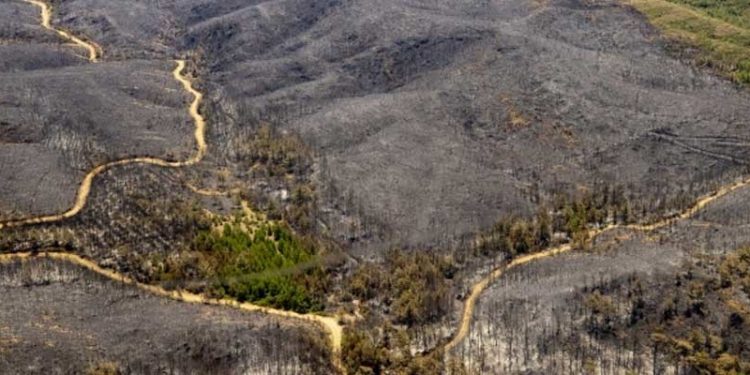 Marmaris yanıyor: ‘Alevler Erdoğan’ın sarayına ilerleyince helikopter sayısı arttı’