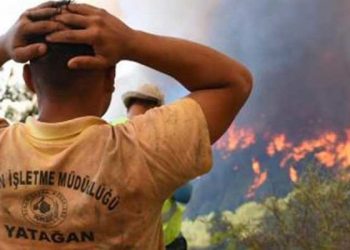Marmaris'teki orman yangını 4. gününde hâlâ sürüyor: Alevler yerleşim bölgelerine doğru ilerliyor