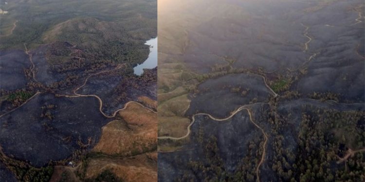 Marmaris'teki orman yangını, 5'inci gününde: Yanan alanlar havadan görüntüledi