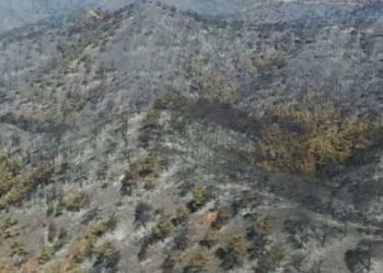 Marmaris'teki orman yangınında zarar gören alanlar havadan görüntülendi