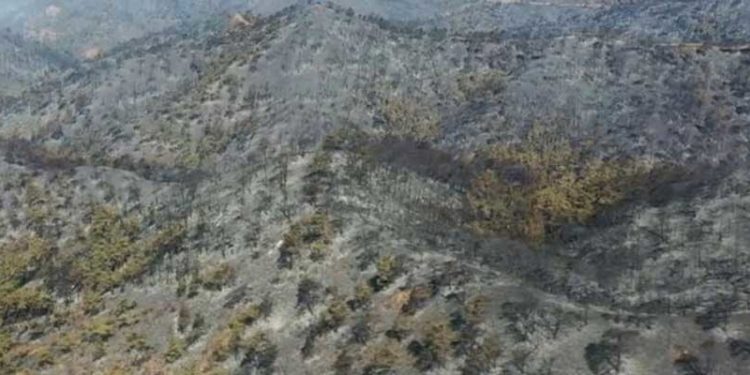 Marmaris'teki orman yangınında zarar gören alanlar havadan görüntülendi