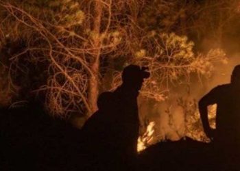 Marmaris'teki orman yangınını çıkaran kişi tutuklandı
