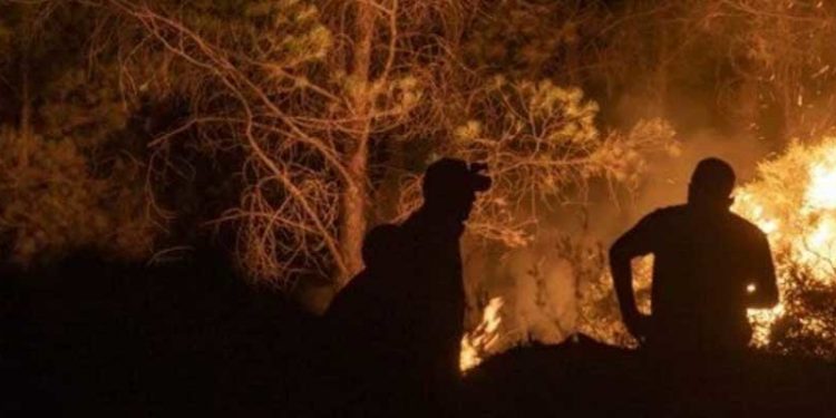 Marmaris'teki orman yangınını çıkaran kişi tutuklandı