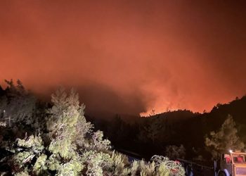 Marmaris'teki yangın devam ediyor: 4 bin hektar kül oldu