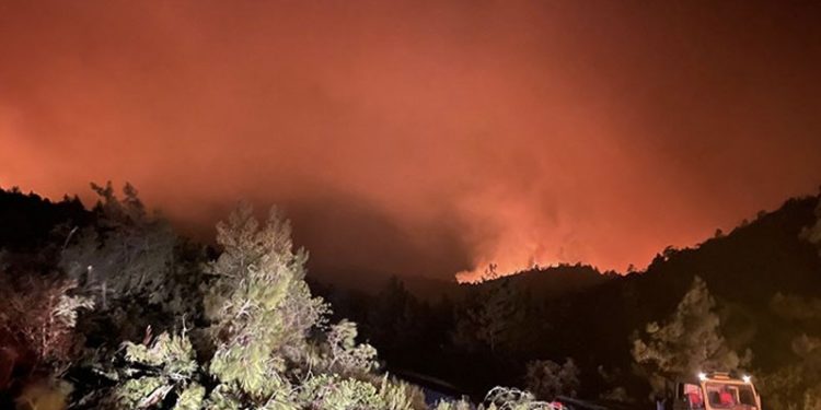 Marmaris'teki yangın devam ediyor: 4 bin hektar kül oldu