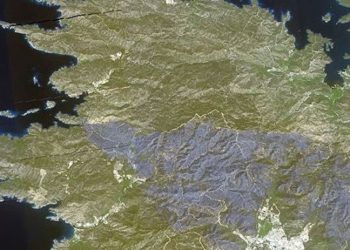 Marmaris'teki yangında tahrip olan bölgelere ait uydu görüntüleri paylaşıldı