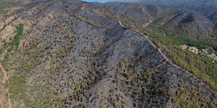 Marmaris’te 4 gün söndürülemeyen yangında 4.500 hektar orman yandı