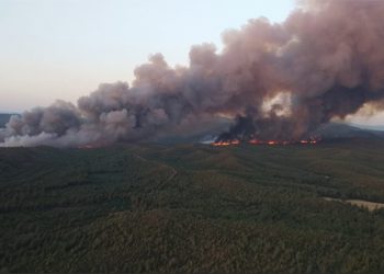 Marmaris’te orman yangını; 30 ev tahliye edildi, sabotaj ihtimali araştırılıyor