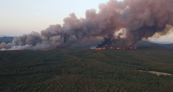 Marmaris’te orman yangını; 30 ev tahliye edildi, sabotaj ihtimali araştırılıyor