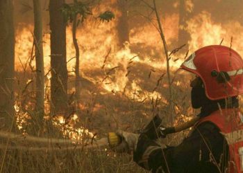 Marmaris’te orman yangını sürüyor: Belediye Başkanı, ‘kontrol altına alındı’ diyen Bakan’ı yalanladı