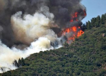 Marmaris’teki orman yangını devam ediyor: şu ana kadar 1028 hektar alan kül oldu