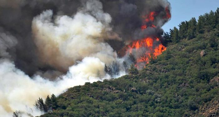 Marmaris’teki orman yangını devam ediyor: şu ana kadar 1028 hektar alan kül oldu