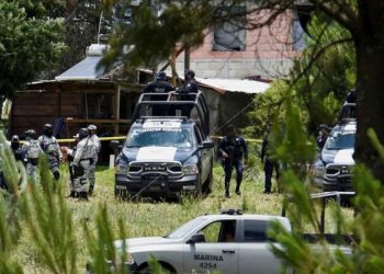 Meksika'da uyuşturucu çetesiyle çıkan silahlı çatışmada kurşungeçirmez yelekli bir maymun öldürüldü