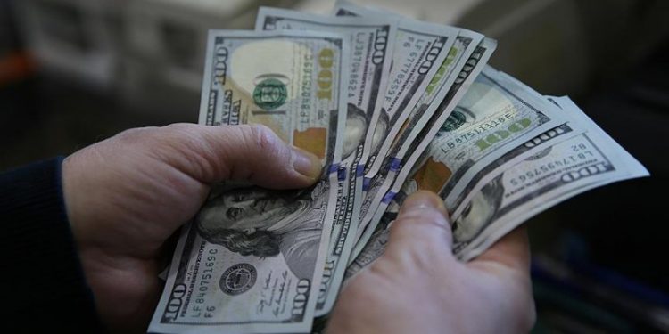 Merkez Bankası'nın faiz kararı sonrası dolarda son durum