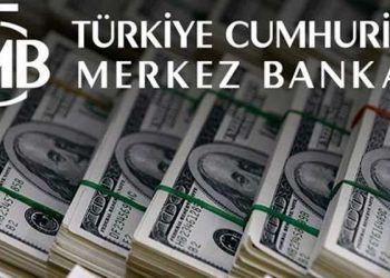 Merkez Bankası'nın net rezervi 7,38 milyar dolara geriledi