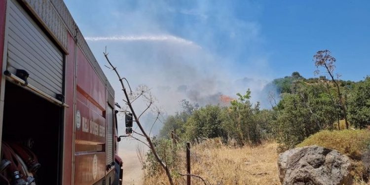 Muğla'da 3 yerde orman yangını