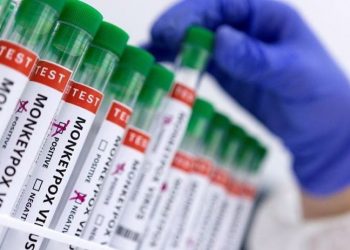 Nijerya maymun çiçeği yayılımını engellemek için vahşi hayvan eti satışını yasakladı