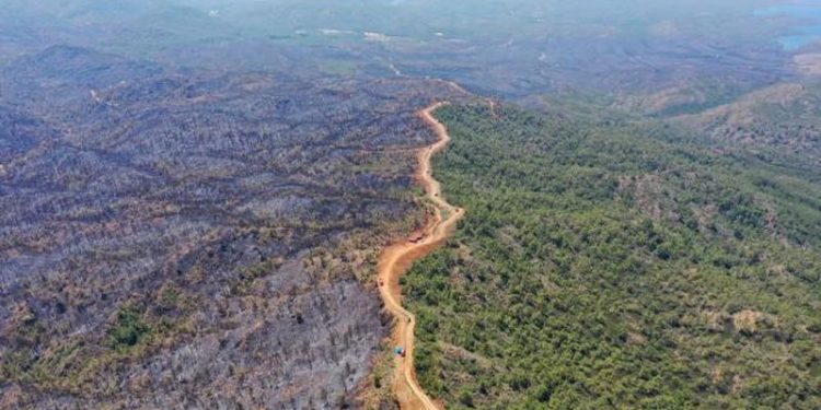 OGM raporunda yangınlara karşı uyarı: Ormanlar korunmalı ve hukuki güvence altına alınmalı