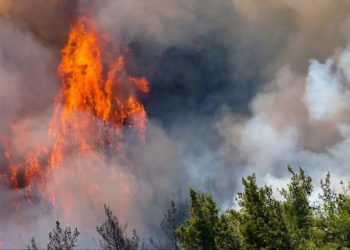 Orman yangınları araştırma önergesi AKP ve MHP oylarıyla reddedildi