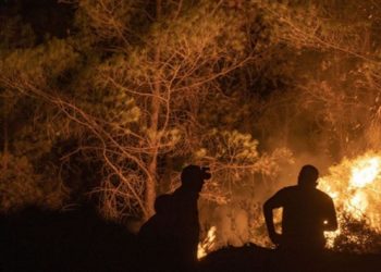 Orman yangınıyla ilgili sosyal medya paylaşımlarına ‘dezenformasyon’ işlemi